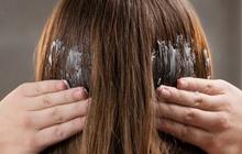 Antara Creambath, Hair Spa, dan Hair Mask, Menjaga Kesehatan Rambut dengan Tepat