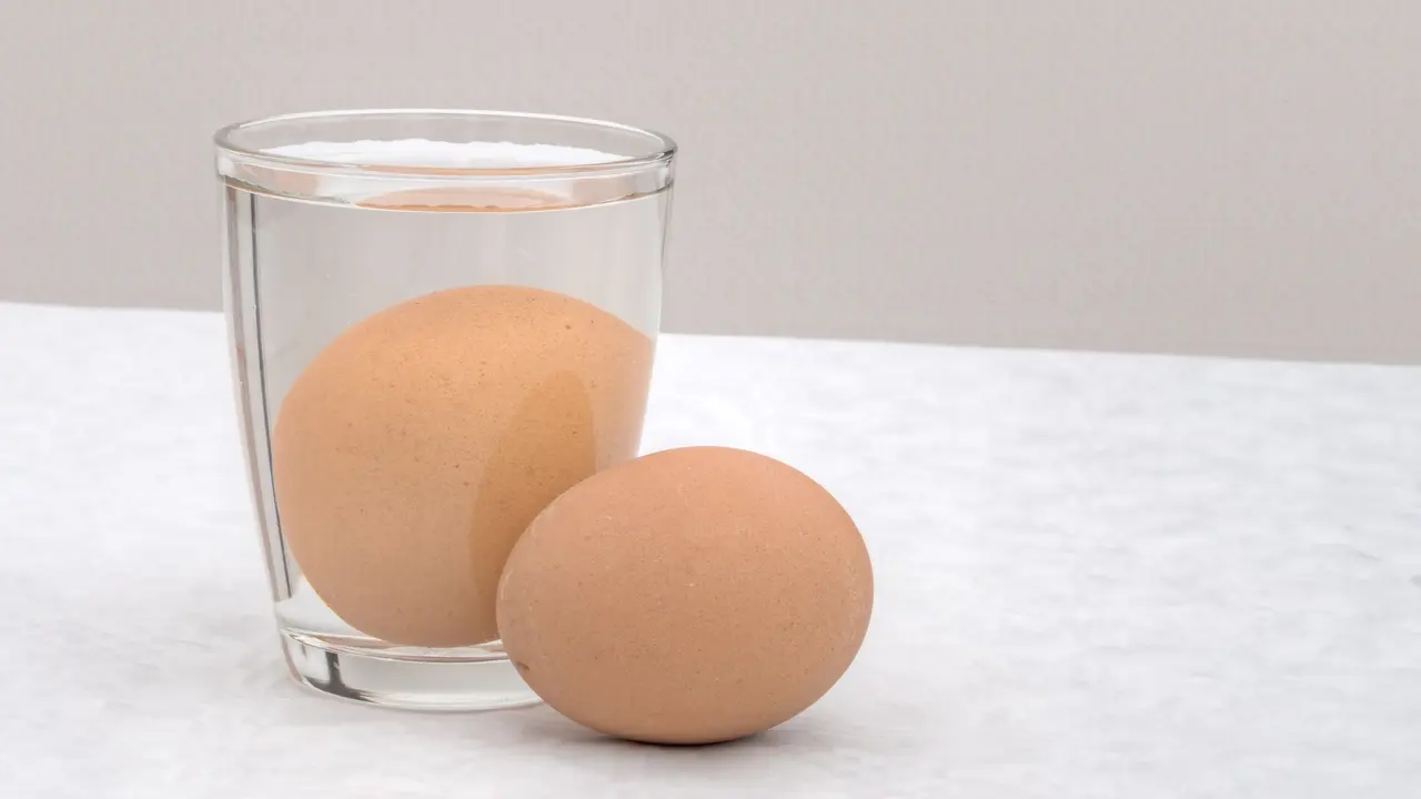 telur segar