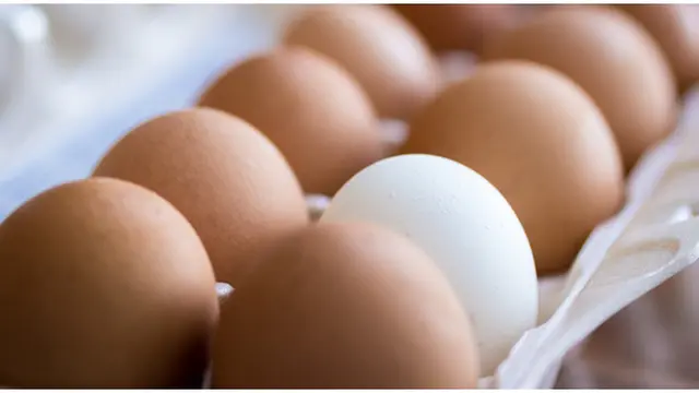 Foto: copyright i.huffpost.com