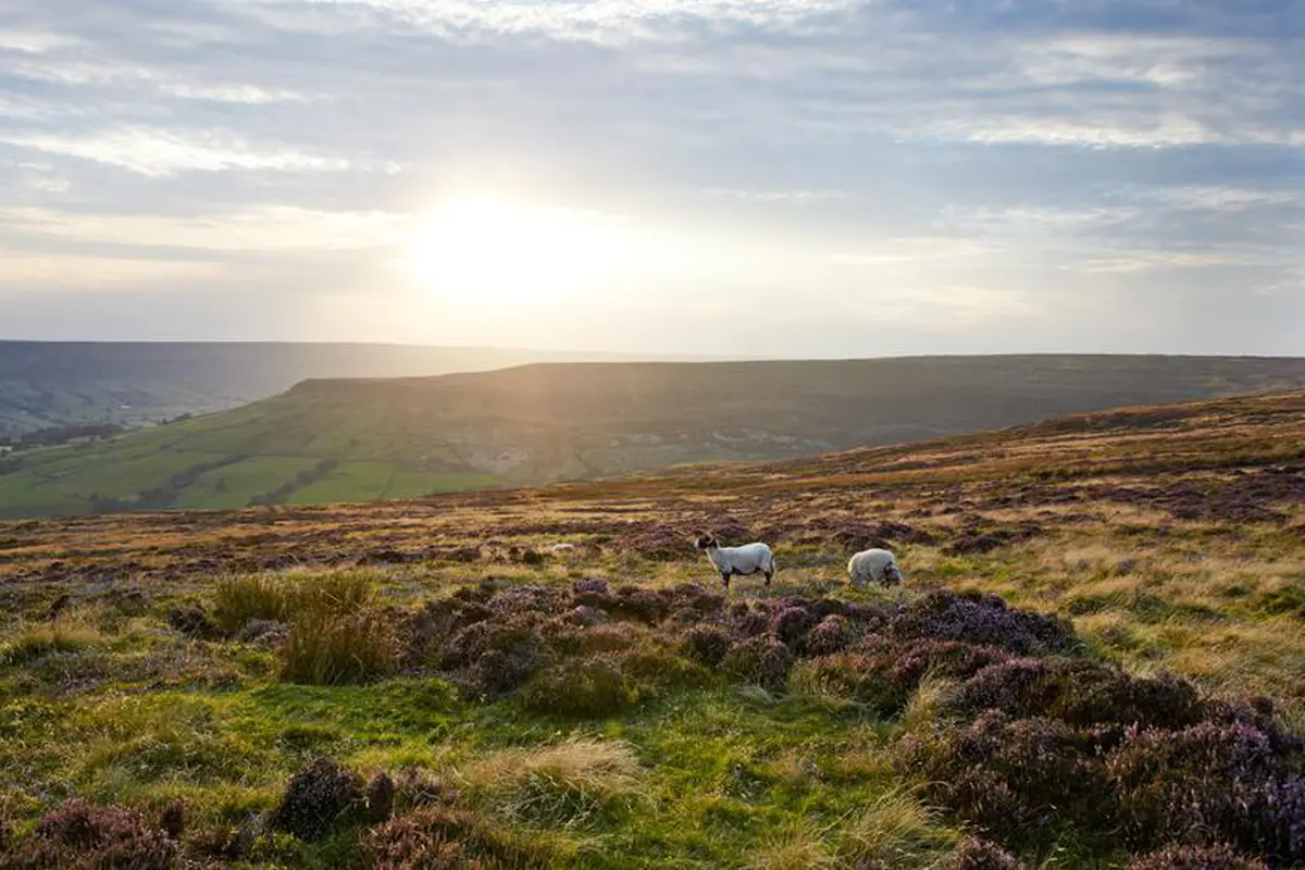 Ketika Keindahan Latar Novel Fiksi Jadi Nyata di Yorkshire