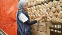 Relawan Bakti BUMN Dorong Kemandirian Desa Medanglayang Lewat Pertanian