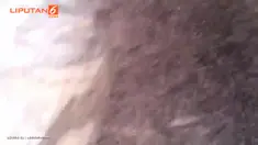 Setelah berdiri di bebatuan, ribuan serangga ini malah menghinggapi seluruh tubuh pria Australia ini.