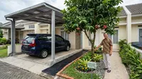 7 Pohon Buah yang Bisa Ditanam Dekat Carport Tanpa Merusak Pondasi, Aman dan Teduh