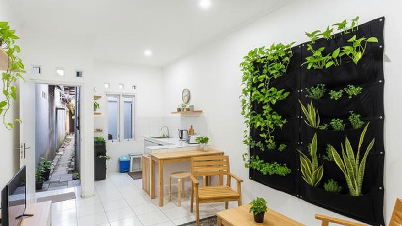 7 Desain Rumah Dalam Gang yang Terlihat Sempit dari Luar tapi Luas di Dalam, Tampilannya Bikin Kaget