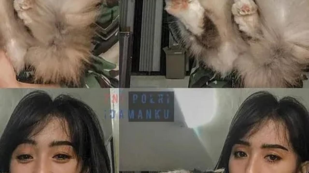 Leluasa Berpose dengan Seekor Kucing<br>