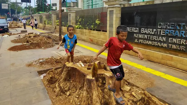Pohon-pohon besar di kawasan trotoar Cikini, Jakarta Pusat ditebang.