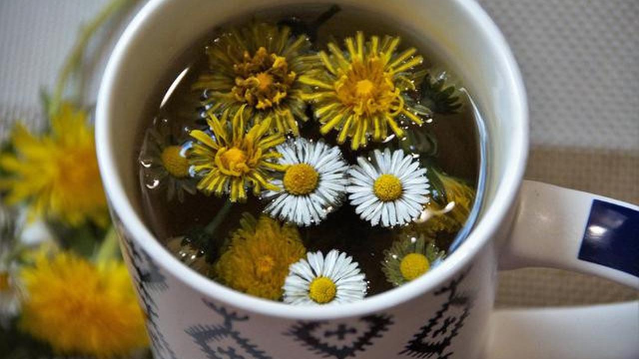 8 Minuman Pembersih Ginjal Alami, Rahasia Detoksifikasi Tubuh