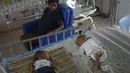 Sepasang bayi kembar beristirahat di tempat tidur Rumah Sakit Anak Saint Damien Port-au-Prince, Haiti, Minggu (24/10/2021). Dilanda krisis, rumah sakit pediatri utama ibu kota hanya memiliki bahan bakar yang tersisa 3 hari untuk menjalankan ventilator dan peralatan medis. (AP/Matias Delacroix)