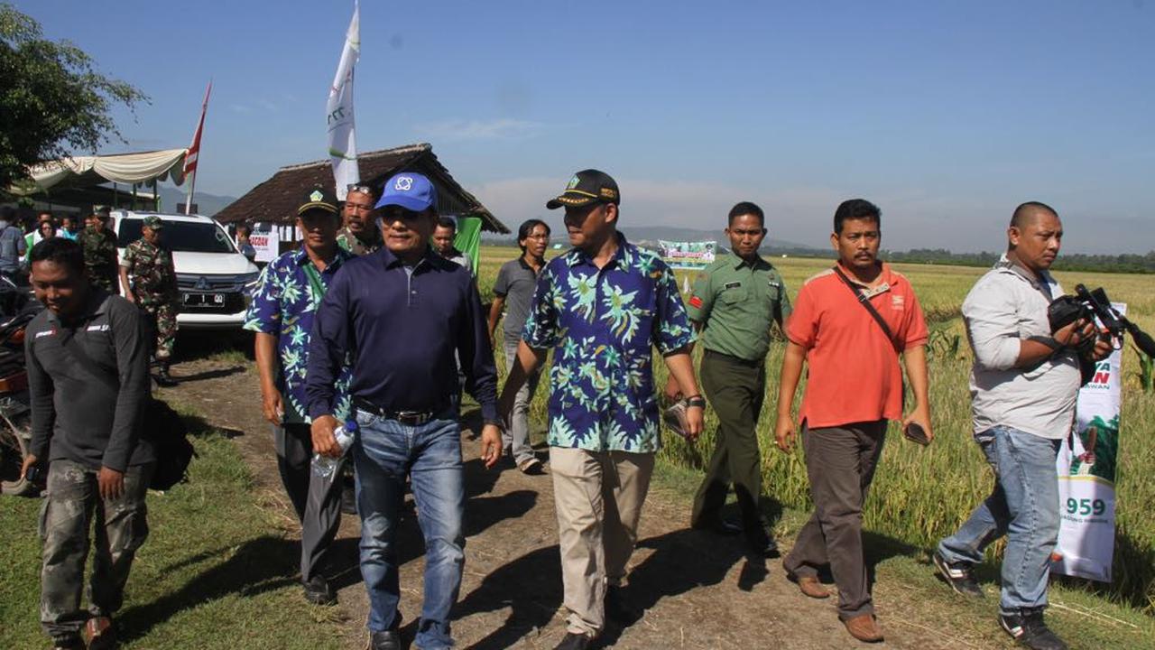 Yusron Fahmi/Liputan6.com