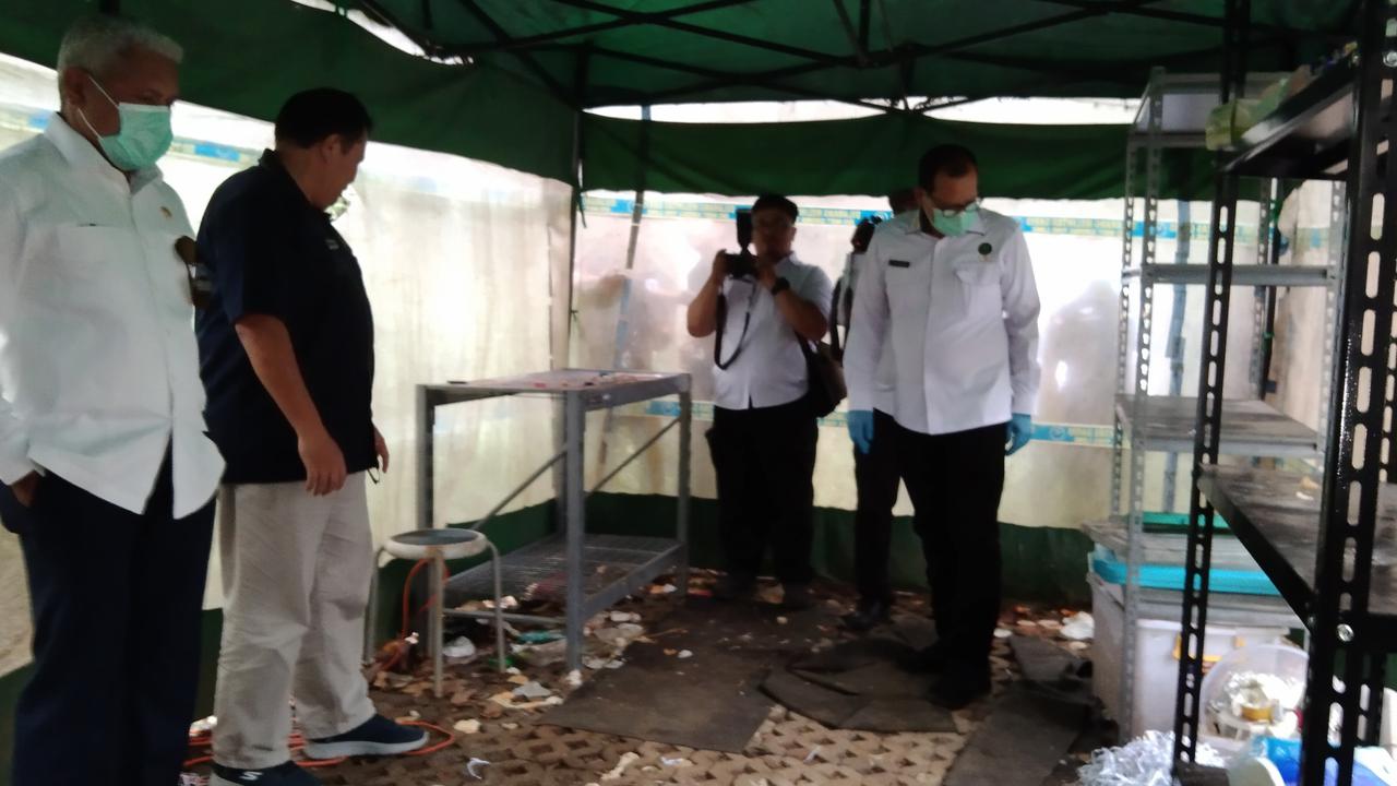 Bahan Dasar Narkoba Jenis DMT di Vila Bali Tanaman Asal Amazon, Punya Efek Penenang dan Penghilang Rasa Sakit