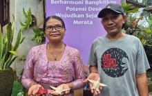 Dulu Tukang Setrika Keliling, Kini Jadi Pengrajin Patung Kura-Kura dan Raup Omzet 10 Juta Per Bulan