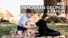 Dalam satu foto terlihat Pangeran George sedang asyik bermain dengan anjing kesayangan.