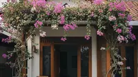 6 Desain Teras Rustic dengan Pot Tanaman Rambat yang Menjalar ke Atap, Kesejukan Alami