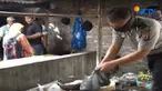 Tersangka juga pernah berjualan tongseng dari daging anjing namun berhenti