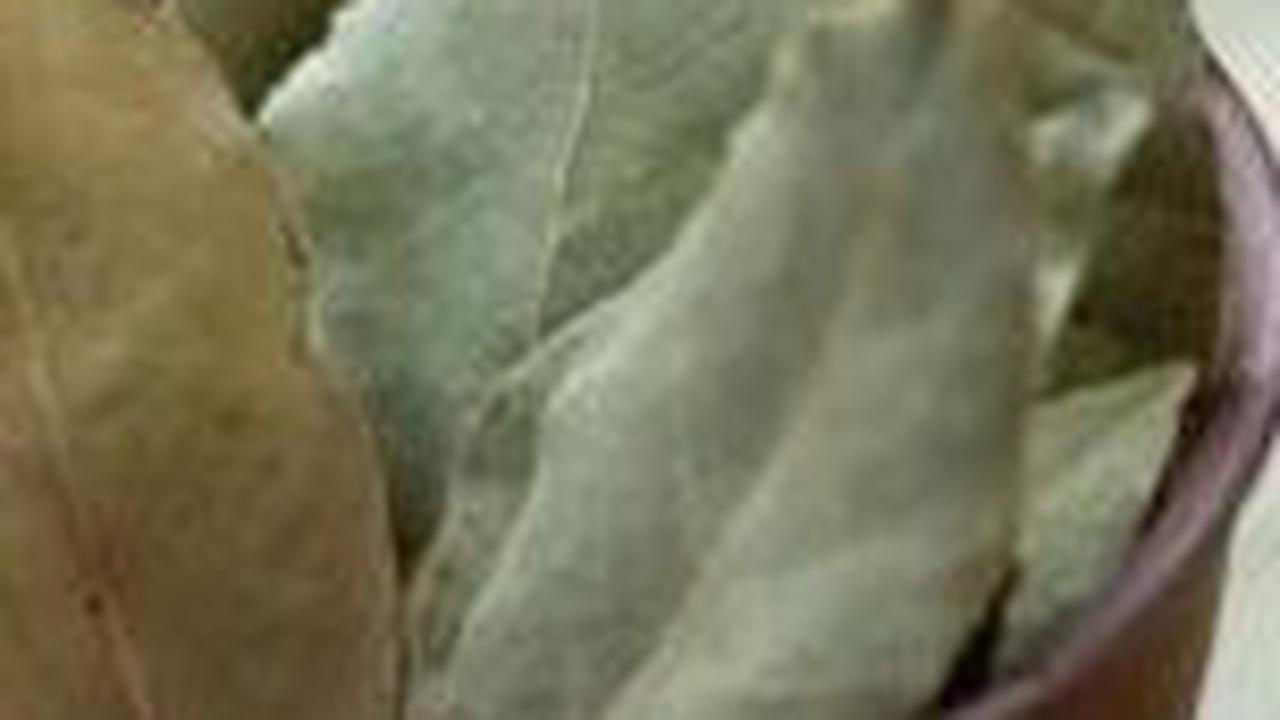 5. Daun Salam
