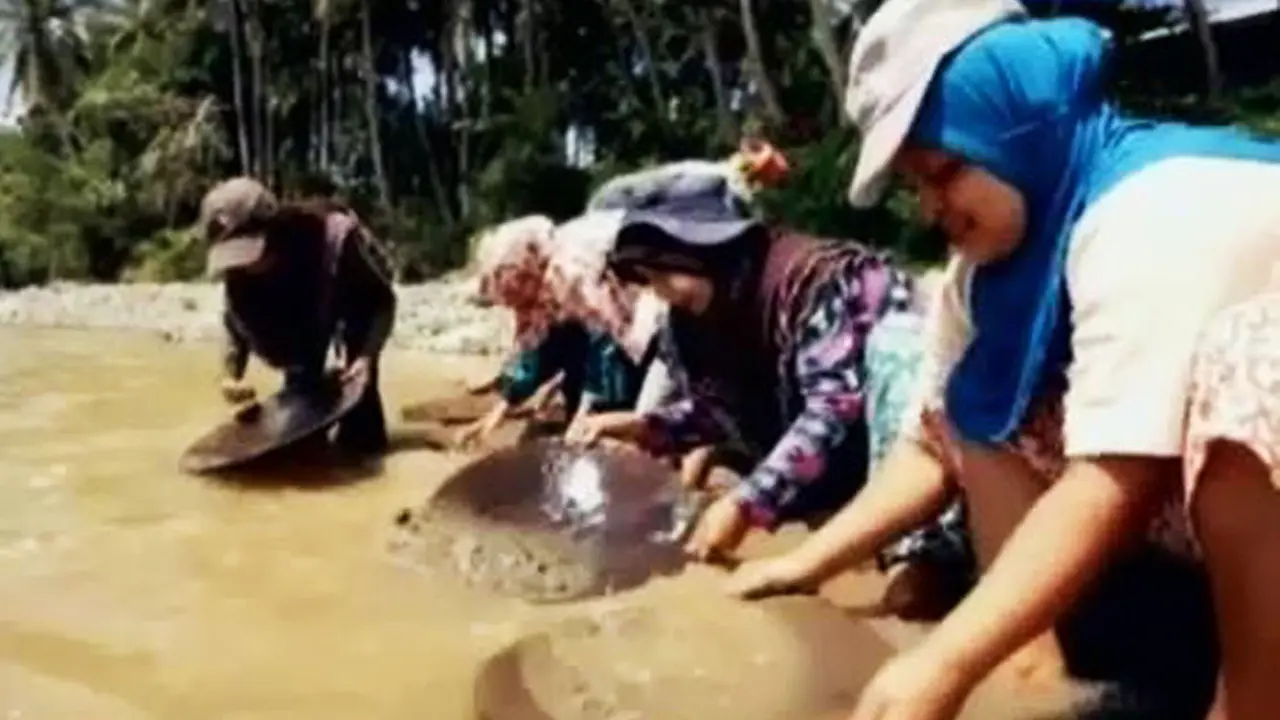 Penduduk Nagari Sisawah Mendulang Emas