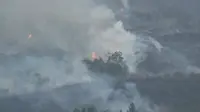 Tim gabungan TNGC terus berupaya memadamkan api dan menyelidiki penyebab terjadinya kebakaran di kawasan hutan Gunung Ciremai Kabupaten Kuningan Jawa Barat. screeshoot (Liputan6.com / Panji Prayitno)