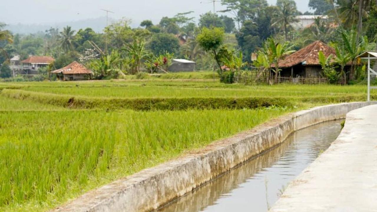 Penguatan Irigasi Kementan: Strategi Jaga Produksi Beras di Tengah Cuaca Ekstrem