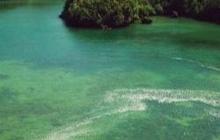 5 Fakta Pulau Sempu Malang, Pantai Kecil di Tengah Hutan yang Terlarang bagi Wisatawan