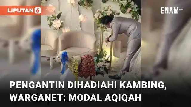 Pengantin baru umumnya mendapat amplop uang maupun kado di hari pernikahannya. Namun pengalaman berbeda justru dialami pengantin berikut. Rekan-rekan pengantin justru datang membawa hadiah berupa anak kambing. Momen viral dan mengundang komentar kela...