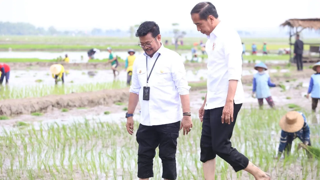Genjot Ketersediaan Beras Nasional, Presiden Jokowi Didampingi Mentan SYL  Lakukan Percepatan Tanam Padi di Tuban