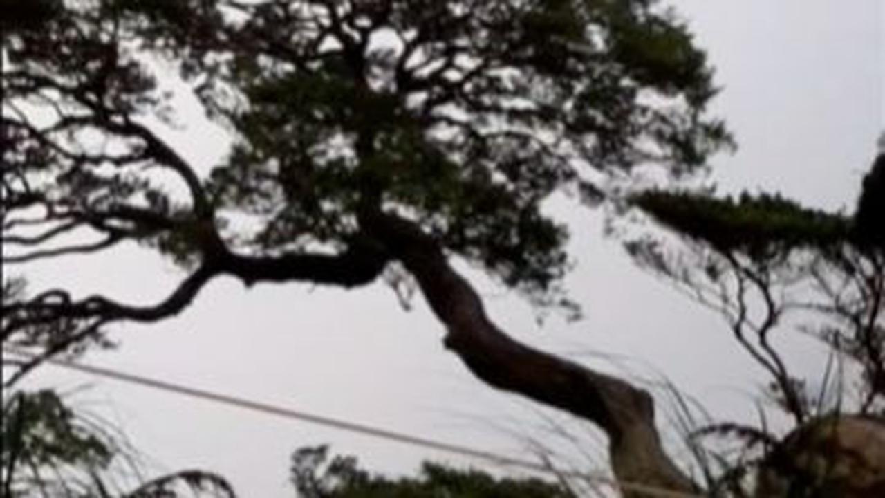 Banyak Pendaki Membandel