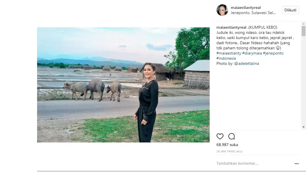 Maia Estianty kumpul bareng kerbau (Foto: Instagram)