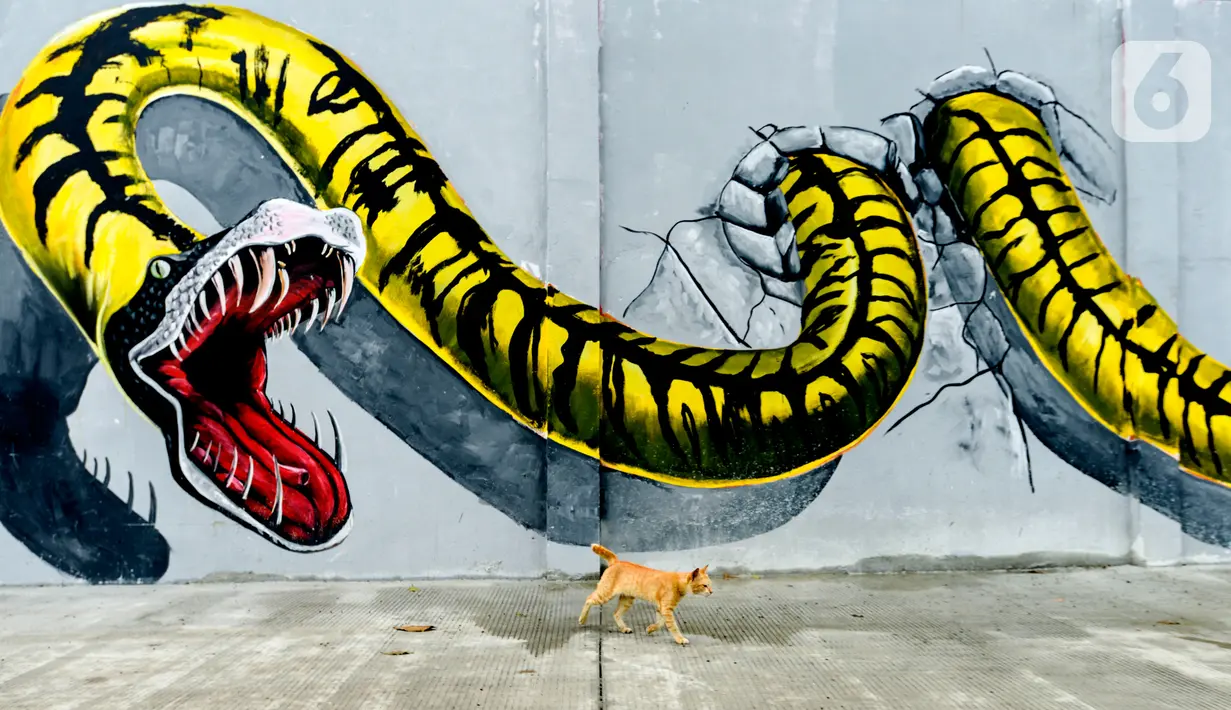 Seekor kucing melintasi depan kreasi mural di sepanjang dinding bantaran Kali Opak, Jakarta Utara, Kamis (6/2/2020). Tembok bangunan saat ini tak hanya menjadi pembatas semata tapi dimanfaatkan untuk menyampaikan pesan-pesan dan harapan dalam bentuk goresan atau tulisan. (merdeka.com/Imam Buhori)
