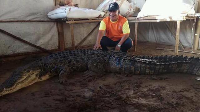 Kabar Pilu dari Buaya Pengacak-acak Isi Tambak Warga di Gorontalo