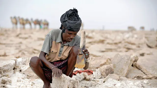 Melihat Penambangan Garam di Tengah Panasnya Gurun Ethiopia