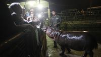 Wisata Malam Ragunan Dikunjungi 40 Ribu Pengunjung Tiap Akhir Pekan, Catat Jadwal dan Tarif Masuknya