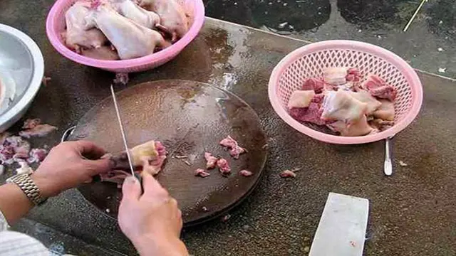 Tragis, Ibu Paksa Anak Makan Tikus Rebus Untuk Sarapan