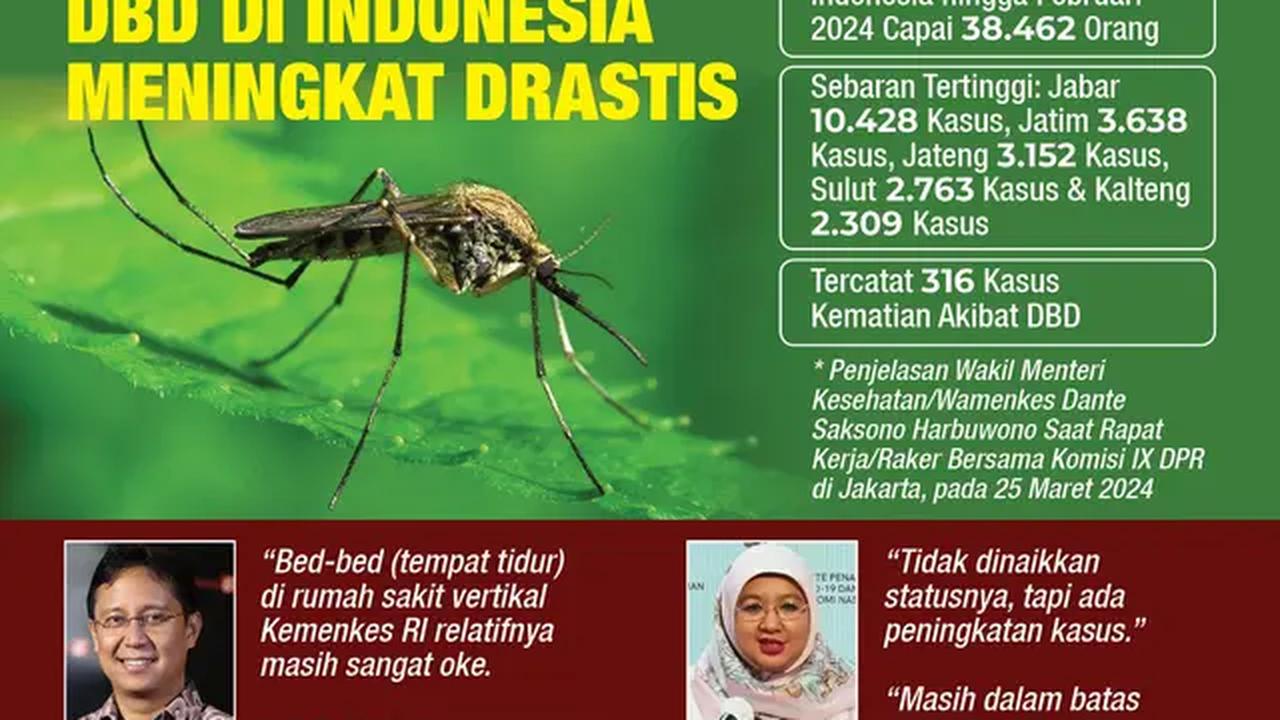 Infografis Waspada Kasus DBD di Indonesia Meningkat Drastis. (Liputan6.com/Gotri/Abdillah)