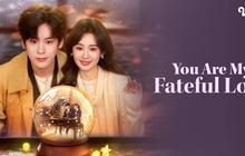 Sinopsis You Are My Fateful Love di Vidio: Reuni Sang Penulis Novel dan Cinta Pertamanya di Meja Hijau
