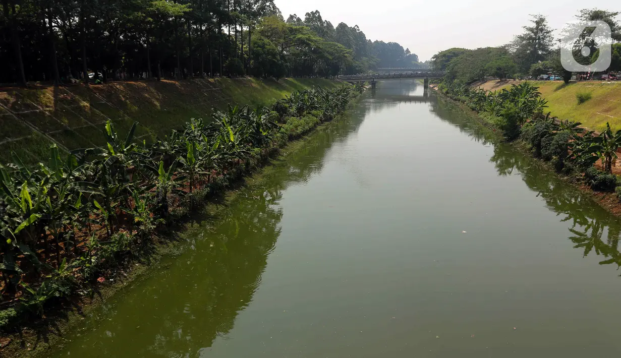 Kondisi Kanal Banjir Timur (KBT) di kawasan Duren Sawit, Jakarta, Kamis (24/8/2023). Musim kemarau yang melanda wilayah DKI Jakarta membuat debit air di KBT surut. (Liputan6.com/Herman Zakharia)