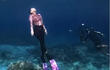 Pesona Gubernur Malut Sherly Tjoanda Meliuk-liuk di Laut Dalam, Tak Hanya Cantik Tapi Juga Jago Menyelam