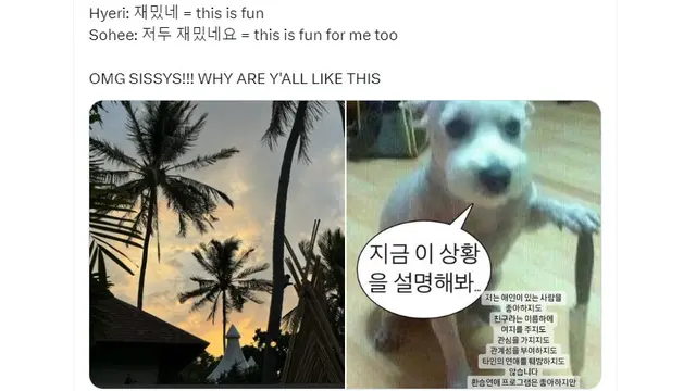 Han So Hee dan Hyeri