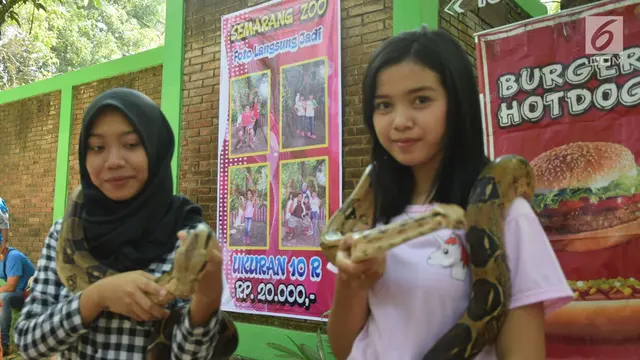 Libur Lebaran, 10 Ribu Pengunjung Penuhi Taman Margasatwa Semarang