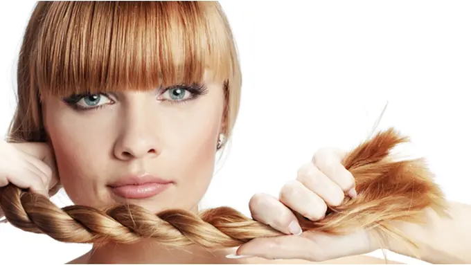 Courtesy ShutterStock.com