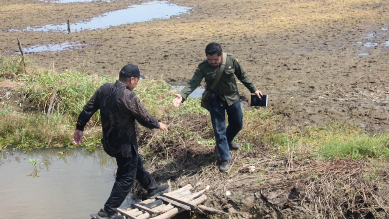 Tantangan Indonesia dalam mewujudkan ketahanan pangan