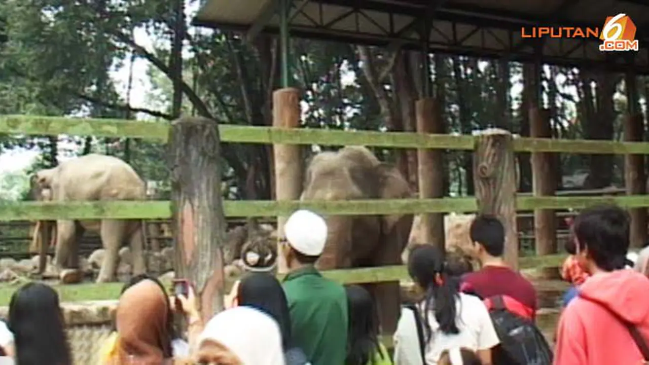 ragunan-rekreasi130312c.jpg