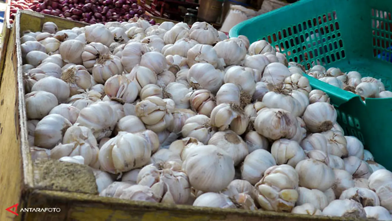 bawang-putih130403b.jpg