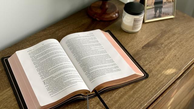 Ilustrasi orang yang sedang membaca buku tentang ideologi