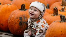 Seorang bayi berpose untuk difoto bersama labu di sebuah festival labu, atau dikenal sebagai Pumpkinfest, di Lincolnshire, Illinois, Amerika Serikat (AS), pada 17 Oktober 2020. Belakangan ini, banyak kota di Illinois menggelar festival labu menjelang perayaan Halloween. (Xinhua/Joel Lerner)