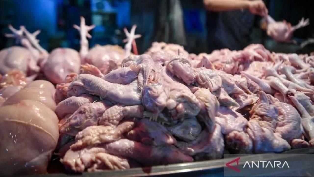 Harga Pangan Nasional Berfluktuasi: Daging Ayam dan Cabai Rawit Merah Melonjak di Minggu Pagi