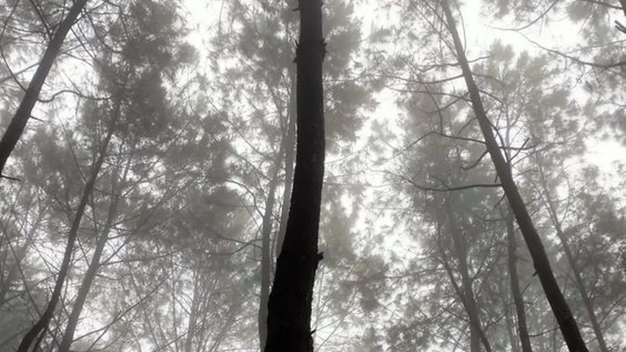 Makam Tanpa Nama di Puncak Gunung Aseupan