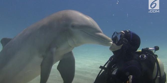 VIDEO: Pria Ini Berciuman dengan Lumba-Lumba di Dasar Laut