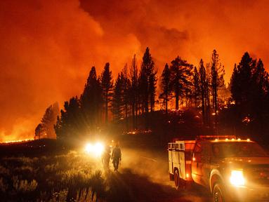 Petugas pemadam kebakaran berusaha memadamkan api dari Kebakaran Kompleks Beckwourth, yang membakar di Hutan Nasional Plumas, California (8/7/2021). Kebakaran kali ini merusak 91 bangunan. (AP Photo/Noah Berger)