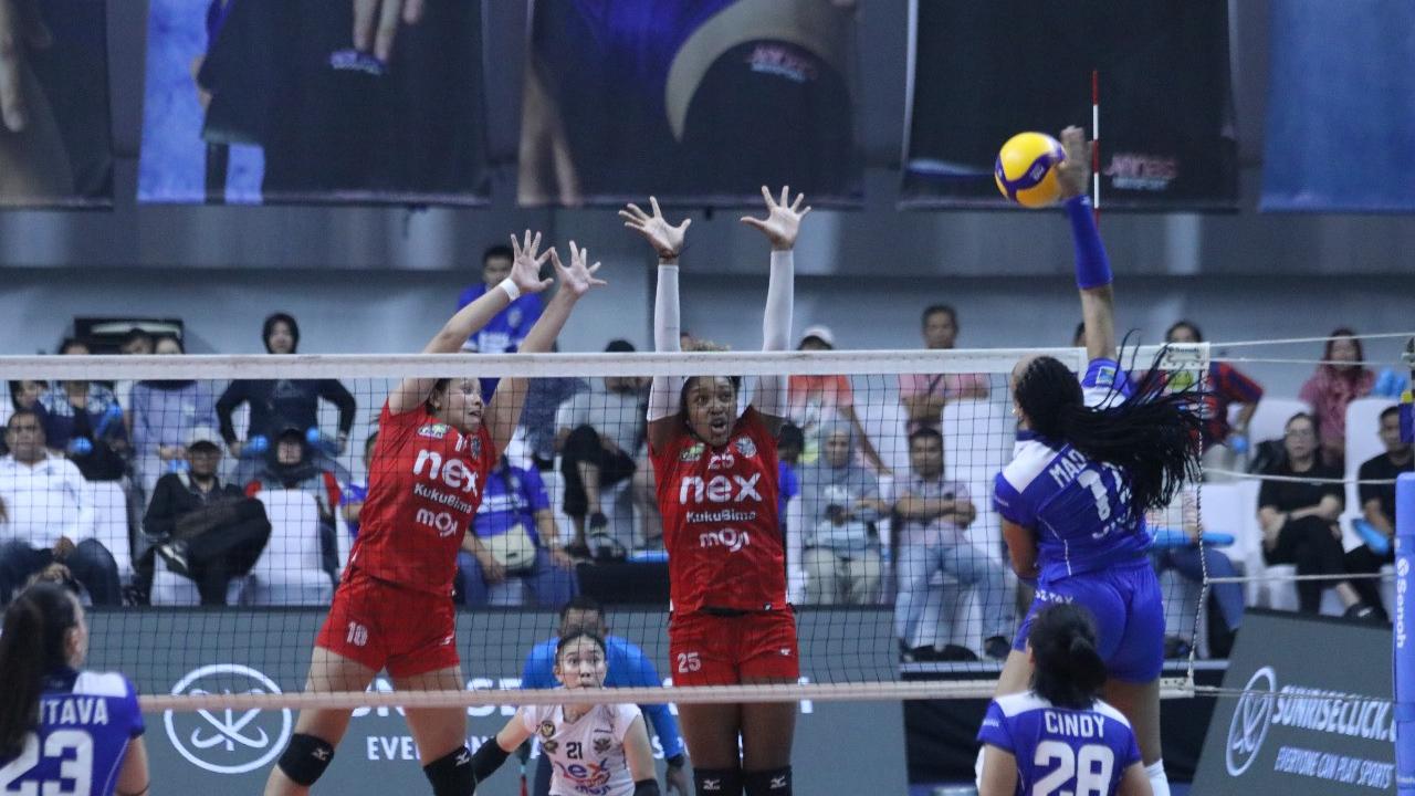 Yogya Falcons - PLN Mobile Proliga 2025 - Bola Voli