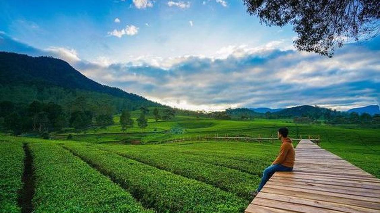 <b>Menikmati Pemandangan di Udara Segar </b>